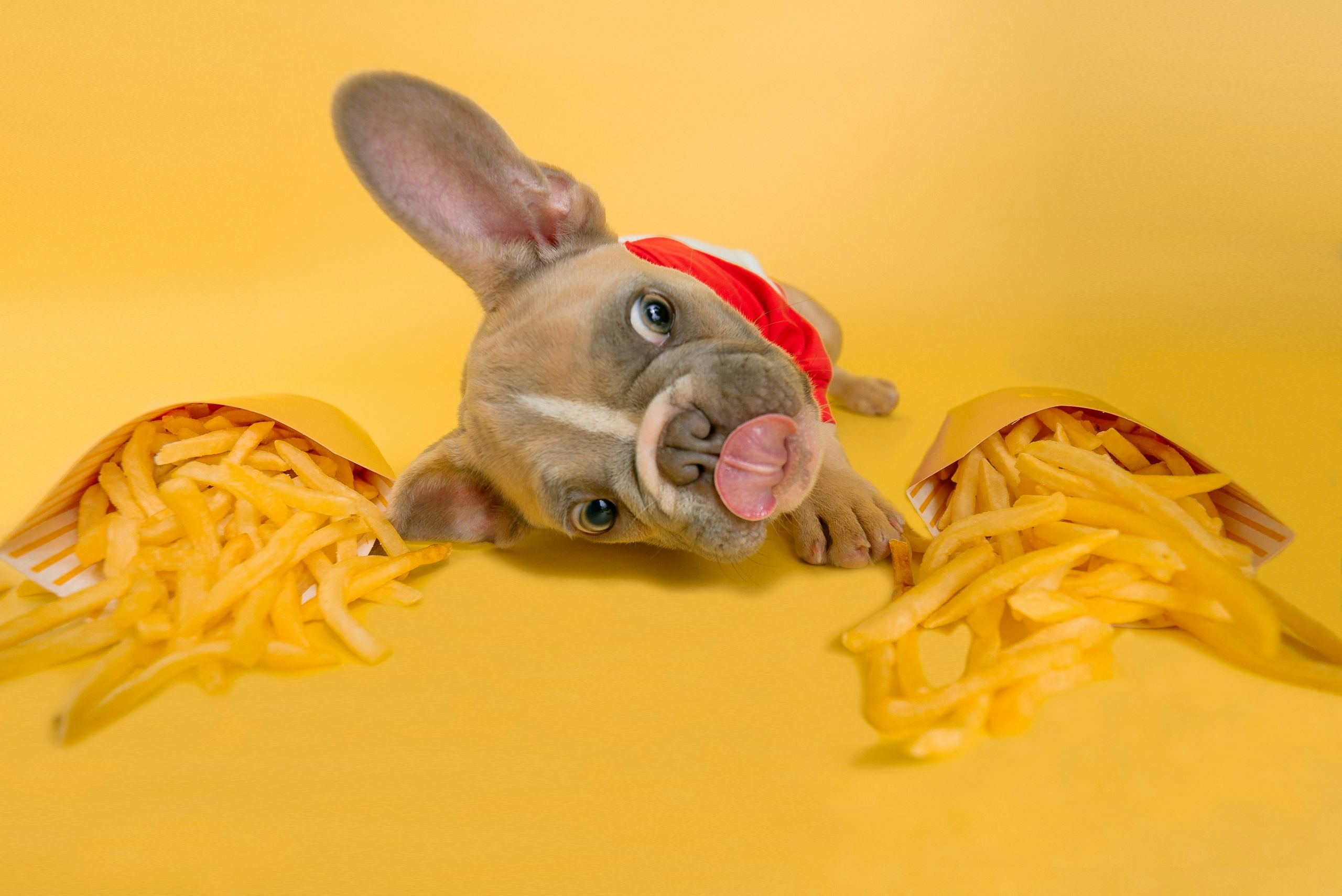 karsten-winegeart-stB6muBBXMc-unsplash What Pays More Uber Eats or DoorDash